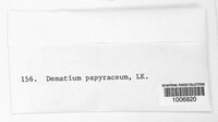 Dematium papyraceum image